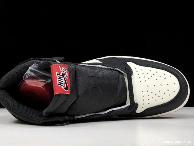 Reps LUCY 015 - Is 1 555088 Jordan Born' High Retro 'A OG Star Air 0806
